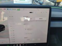 Tesla Model 3 Rear-Wheel Drive - photo 18