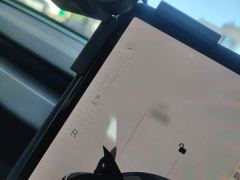 Tesla Model 3 Rear-Wheel Drive - photo 6