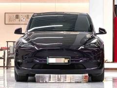 Tesla Model Y Long Range All-Wheel Drive - ფოტო 2