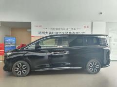 FAW Hongqi HQ9 2.0T Smart Flagship Edition - photo 4