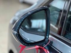 Buick Century 2.0T Seven-Seater Yun Shi Edition - photo 10