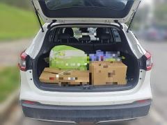 Nissan Qashqai 2.0L CVT Luxury - ფოტო 15