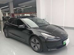 Tesla Model 3 Standard Range RWD Upgrade 3D6 - фото 2