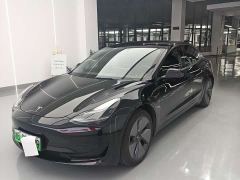 Tesla Model 3 Standard Range RWD Upgrade 3D6 - фото 3