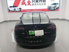 Tesla Model 3 Standard Range RWD Upgrade 3D6 - фото 4