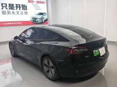 Tesla Model 3 Standard Range RWD Upgrade 3D6 - фото 5