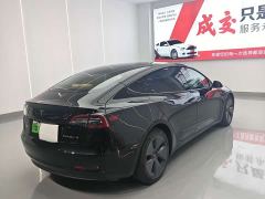 Tesla Model 3 Standard Range RWD Upgrade 3D6 - фото 6