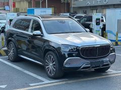 Mercedes-Benz Maybach GLS 480 4MATIC - photo 3