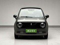 ORA Black Cat 301km Cute Pet Edition LFP Battery - photo 2