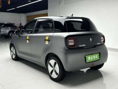 ORA Black Cat 301km Cute Pet Edition LFP Battery - photo 6