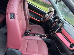 Chery Ant Sweet Pink Half-Sugar Phosphate Iron Lithium 30kW 301km - фото 7