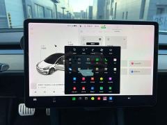 Tesla Model 3 Standard Range RWD Upgrade - ფოტო 11