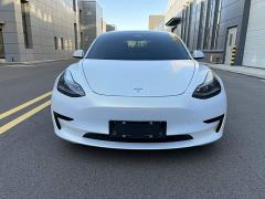 Tesla Model 3 Standard Range RWD Upgrade - ფოტო 2
