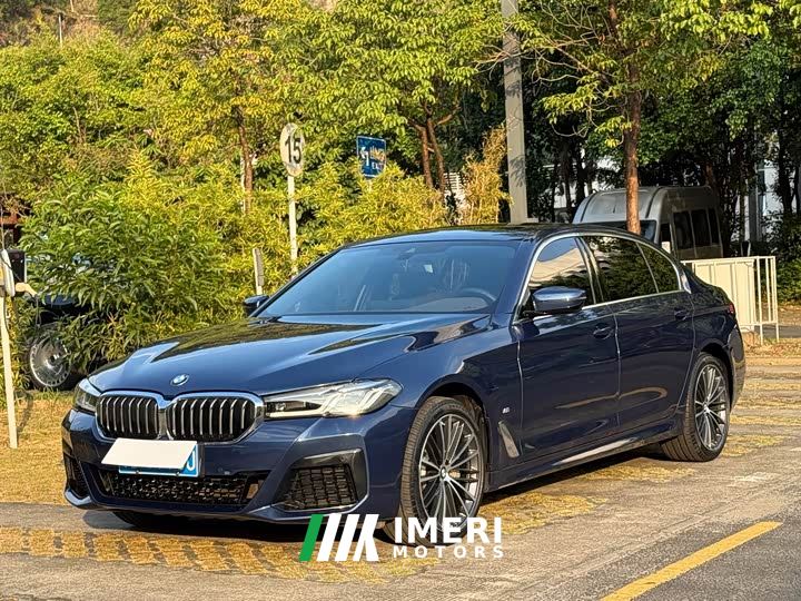 BMW 5 Series 530Li Premier M Sport Package - car from China