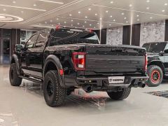 Ford F-150 Raptor 3.5T Raptor - ფოტო 9