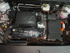 BYD Song Pro New Energy Champion Edition DM-i 110KM Excellence - фото 16