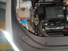 BYD Song Pro New Energy Champion Edition DM-i 110KM Excellence - фото 20