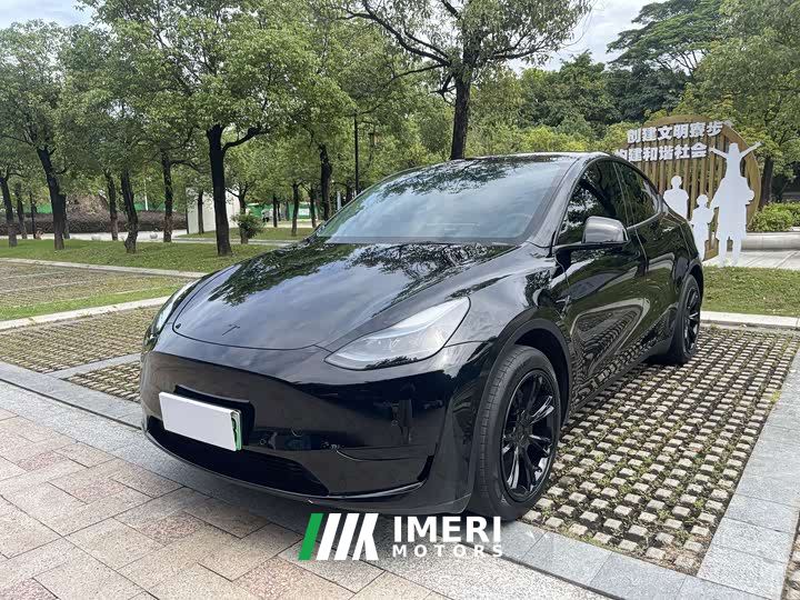 Tesla Model Y Rear-Wheel Drive - ავტომობილი ჩინეთიდან