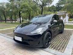 Tesla Model Y Rear-Wheel Drive - ფოტო 1