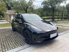 Tesla Model Y Rear-Wheel Drive - ფოტო 3