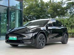 Tesla Model Y Rear-Wheel Drive - ფოტო 1