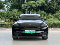 Tesla Model Y Rear-Wheel Drive - ფოტო 2