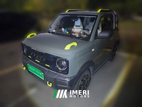 2025 Geely Panda 210km Panda Knight - car from China
