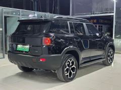 Jetour Jietu Shanhai T1 147km AWD Explorer - photo 15