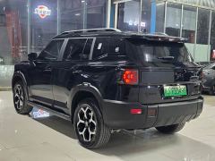 Jetour Jietu Shanhai T1 147km AWD Explorer - photo 17