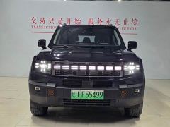 Jetour Jietu Shanhai T1 147km AWD Explorer - photo 2