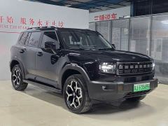 Jetour Jietu Shanhai T1 147km AWD Explorer - photo 3