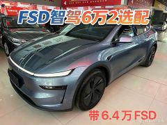 Tesla Model Y Long Range All-Wheel Drive - photo 1