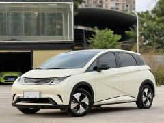 BYD Dolphin 420km Fashion Edition - ფოტო 1