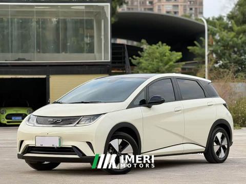 2023 BYD Dolphin 420km Fashion Edition - автомобиль из Китая