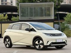 BYD Dolphin 420km Fashion Edition - ფოტო 3