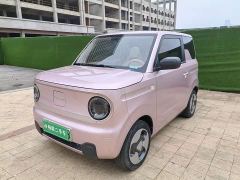 Geely Panda Mini 200km Agile Panda - photo 1