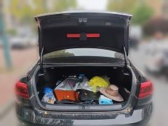 Volkswagen Magotan 330TSI DSG Advance - photo 15