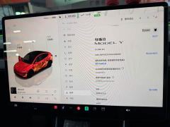 Tesla Model Y Rear-Wheel Drive - ფოტო 8