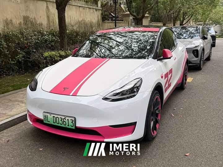 Tesla Model Y Standard Range RWD - ავტომობილი ჩინეთიდან