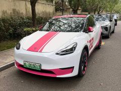 Tesla Model Y Standard Range RWD - ფოტო 1
