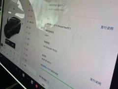 Tesla Model Y Standard Range RWD - ფოტო 9