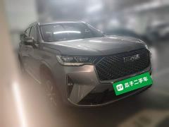 Haval H6 1.5T Two-Wheel Drive Classic Edition - ფოტო 3