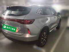 Haval H6 1.5T Two-Wheel Drive Classic Edition - ფოტო 6