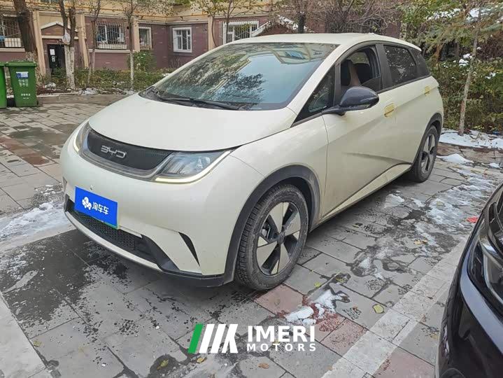 BYD Dolphin 420km Freedom Edition