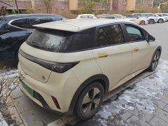 BYD Dolphin 420km Freedom Edition - фото 3