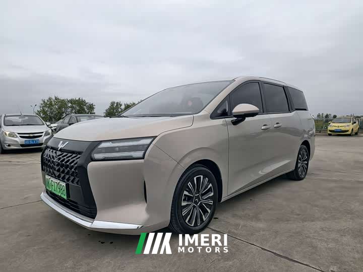 Wuling Starlight 730 New Energy PHEV 125km Luxury