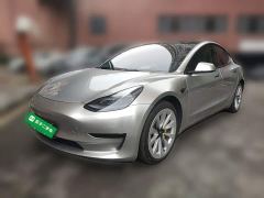 Tesla Model 3 Rear-Wheel Drive - ფოტო 1