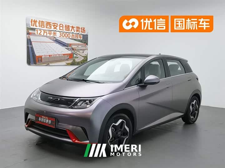 BYD Dolphin 2021 405km fashion version