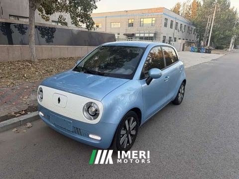 2021 ORA Black Cat 351km Luxury - ავტომობილი ჩინეთიდან