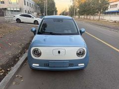 ORA Black Cat 351km Luxury - ფოტო 2